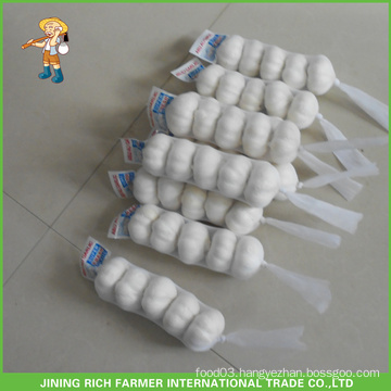 Hot Sale Wholesale Pure White Garlic 5.0CM Mesh Bag In Carton Good Price And High Quality